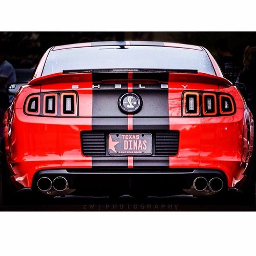 detroitisonfire:  Good god #shelby #gt500 #mustang #ford