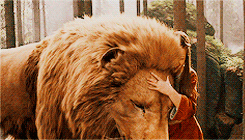 jesse-eisenberg:    HP CHALLENGE →  1/4 houses: Gryffindor   