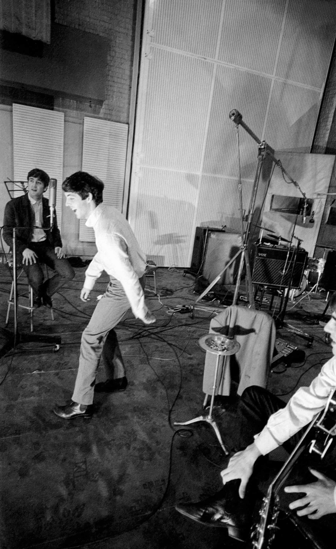 #cute baby beatles from ala de colibrí