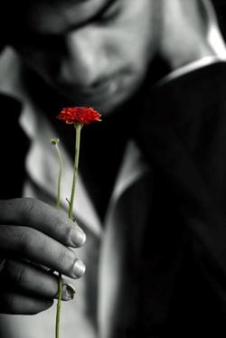 love-roses-are-red:  A man’s love cannot