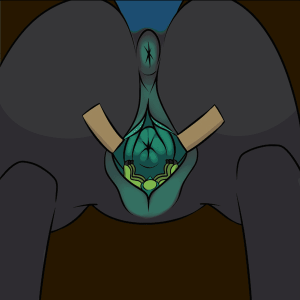 hazrdwolf:  Furry Gifs