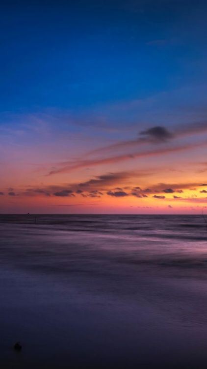 480x854 Tree, landscape, beautiful, beach, sunset wallpaper @wallpapersmug : bit.ly/2EBfd6v -