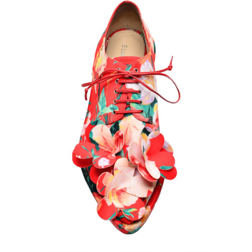 Mad Flower Embellished Brogue | Moda Operandi ❤ liked on Polyvore (see more flower print shoes)