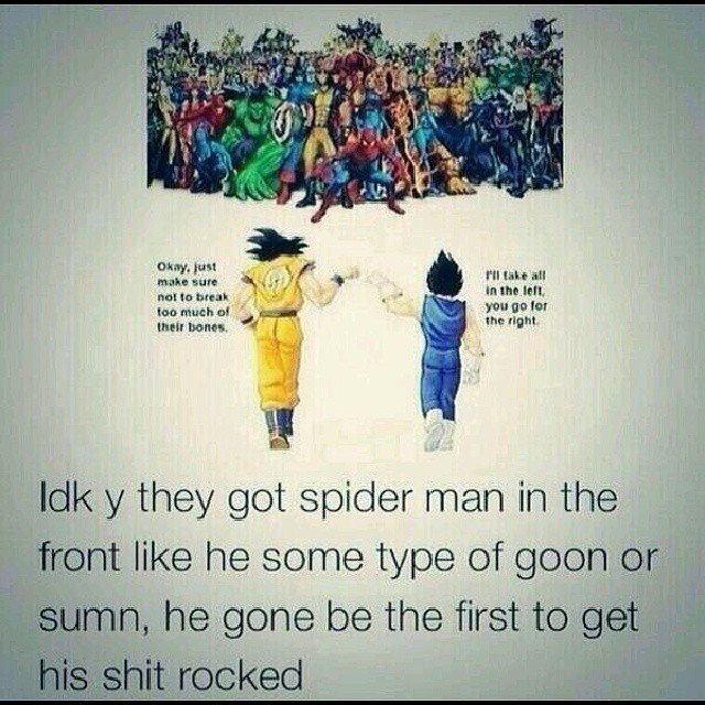 The nerdy side of me loves this picture because Goku and Vageta would mop all of them😂👌