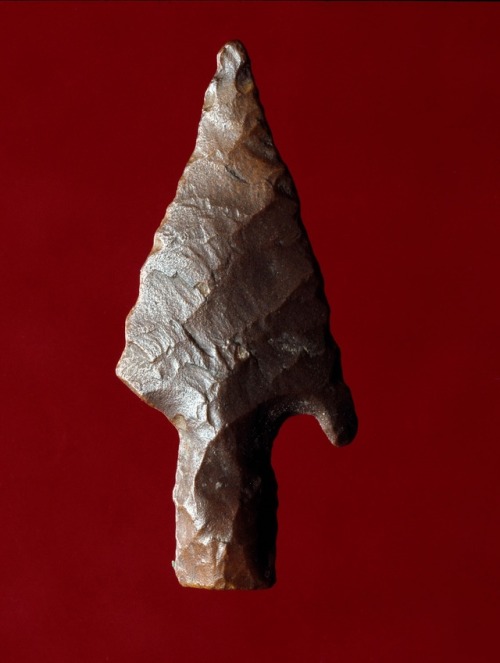 A fine brown flintarrowhead from Faiyum, Egypt, dated back to Predynastic Period, ca. 6000-3150 BC. 