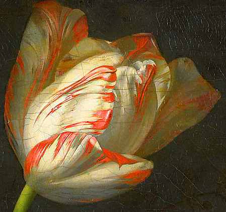 clara–lux:RUYSCH, Rachel (1664–1750) Still life with flowers in a glass vase, detailsbetween 1