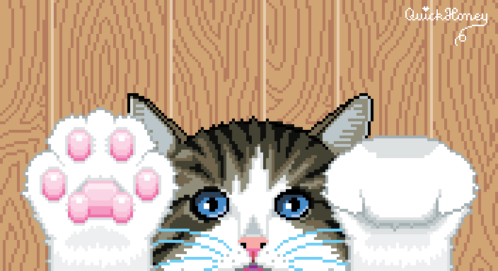 QUICKHONEY on Tumblr: Cat