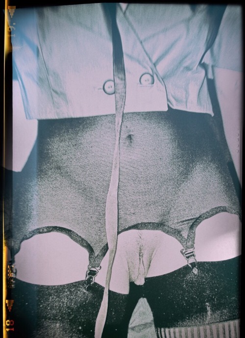 redcircleimages2:Leashed ©Red Circle