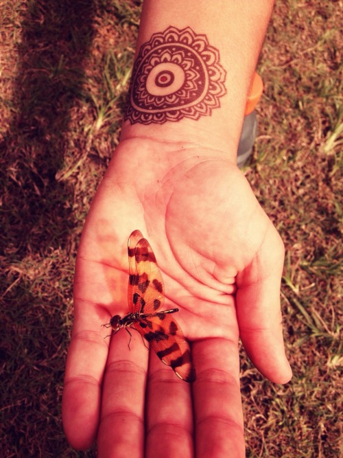 bbralejandra.tumblr.com/post/63670966931/