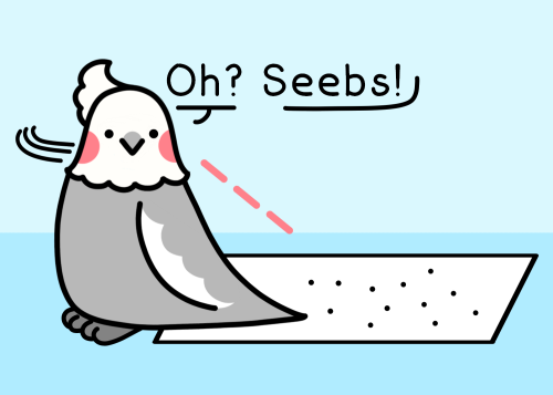 birb memes