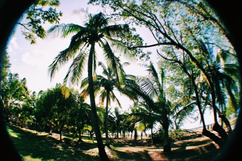 thelifeofjessicaa:Playa Tamarindo, Guanacaste