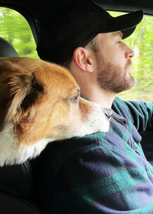 sudsevans:CHRIS EVANS and DODGER on  #nationalrescuedogday