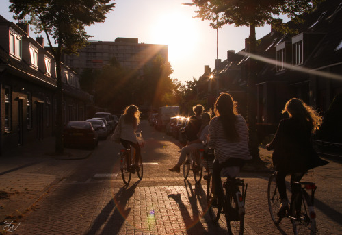 wilson-visuals: The small town of Wageningen, Netherlands. A beautiful place in Europe, where everyo