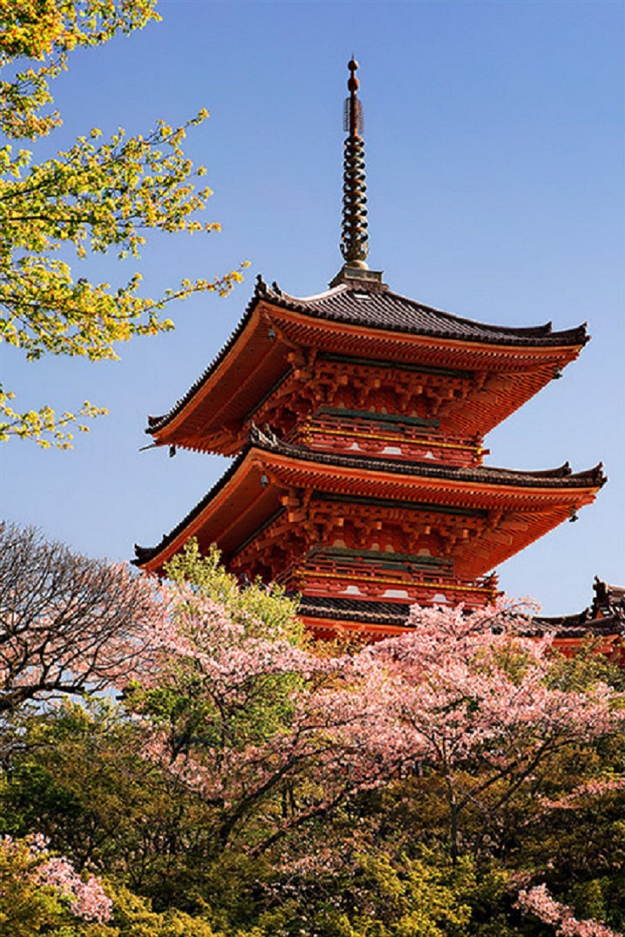 sublim-ature:  Kiyomizudera, JapanAndre Roberge 