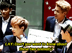 secrethideoutme:  Master Wu explaining his masterpiece 