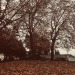 amandakaynorman:Poulsbo, Washington November 2016