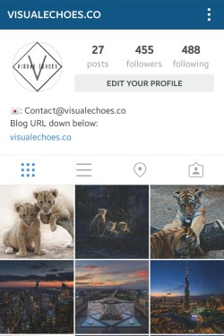 visualechoess:  Follow me on IG @visualechoe.co :)