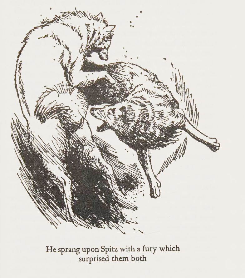 From the Call of the Wild by Jack London (1981 Illustrated Junior Library Edition), illustrated by Kyuzo Tsugami