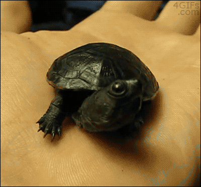 bluecaptions:  *yawn*