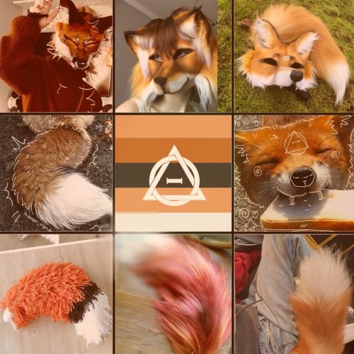 Could I Get A Red Fox Mood Board And Maybe Some Activities To Do While In A Shift That Would Make Me