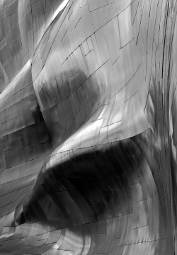 daredge:  andrew prokos frank gehry emp museum seattle