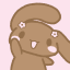 missdreammerchant