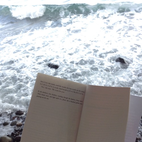 reignofbooks: the sea looked pretty so i brought achilles and patroclus out