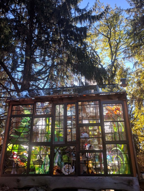 The cabin loves a sunny day!-The Glass Cabin, Lake Mohawk, New Jersey
