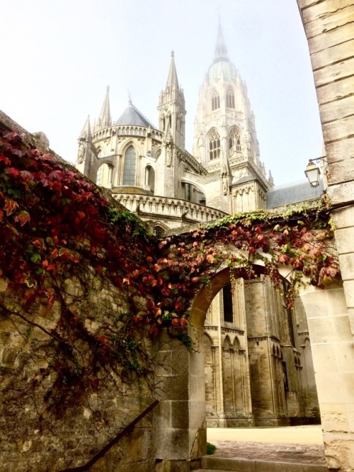 Bayeux Cathedral in the morning mist