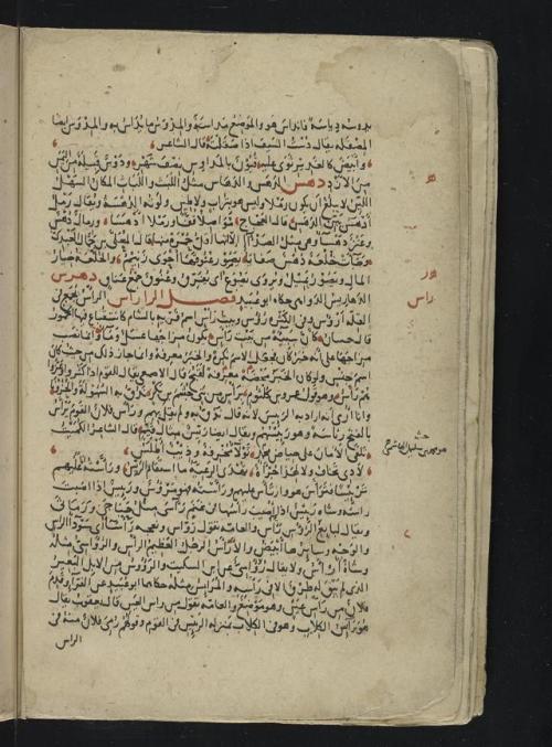 LJS 394 Section of Tāj al-lughah wa-ṣiḥāḥ al-ʻArabīyah. Written in Egypt or Syria in the 14th 