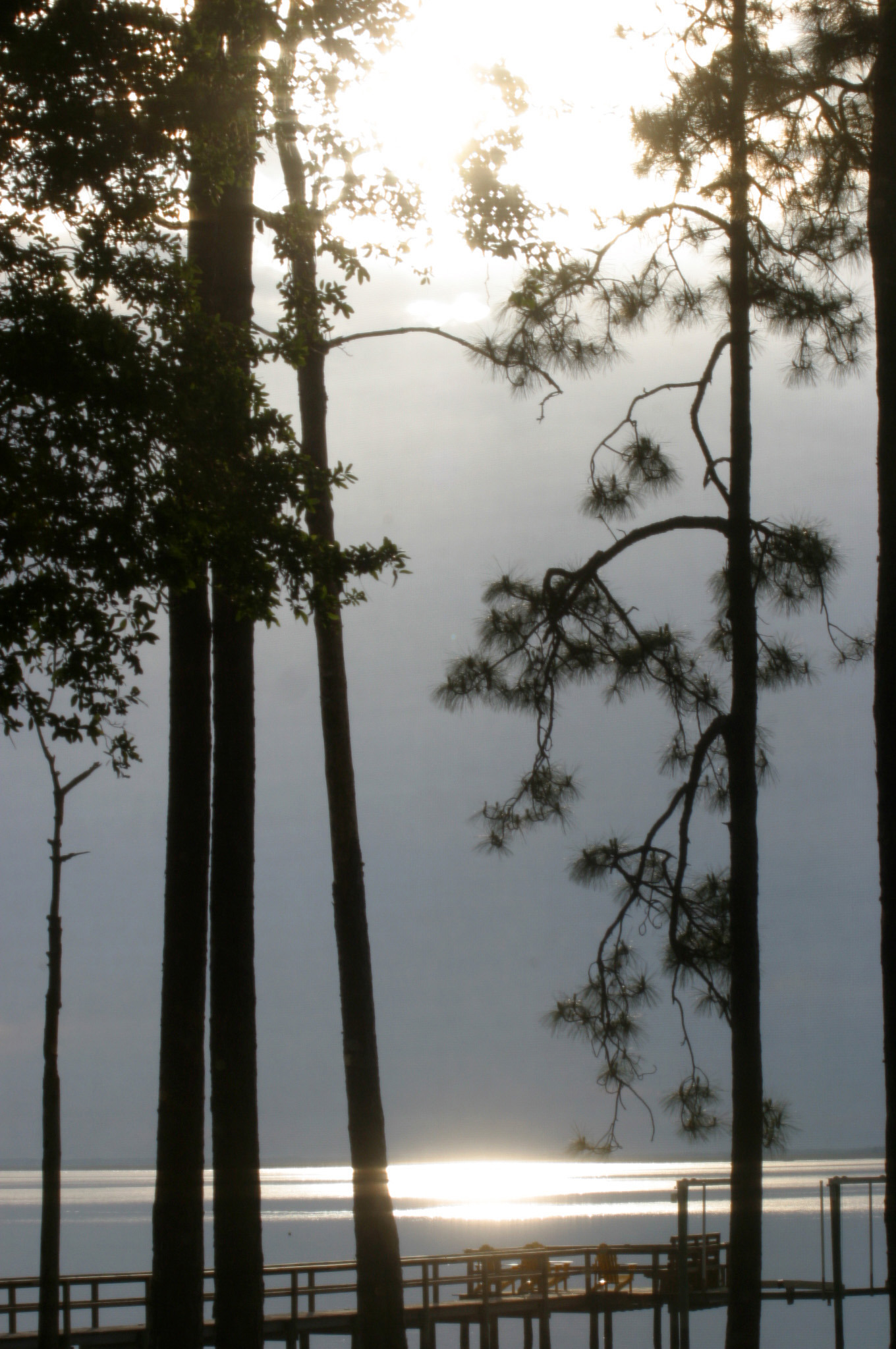 theamericanpin-up:From the “Personal File” - Sunset over Apalachicola Bay - Saturday - April 8, 2023, from the deck - “Blessed” 