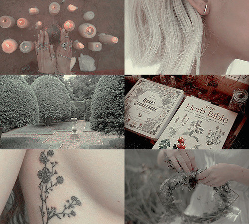 koalofrp:w i t c h e s  :  modern healers (or white witch) Young girls with strong magic and the will of the good thrumming through their veins. Healers, or white witches, use their powers with the best of intentions. Herbs, potions, and remedies litter