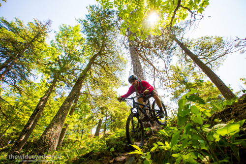 thewideeyedworld: Day 164. Marquette Mountain Biking.