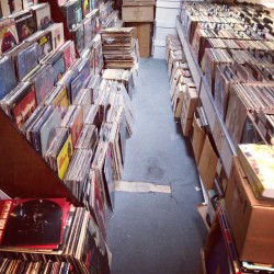 vinylfy:  At Record Trader , Ft. Myers ,FL