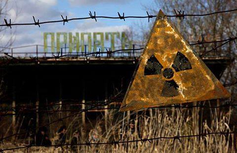 Chernobyl’s Trees The disaster at the Chernobyl Nuclear Power Plant in Ukraine was one of the 