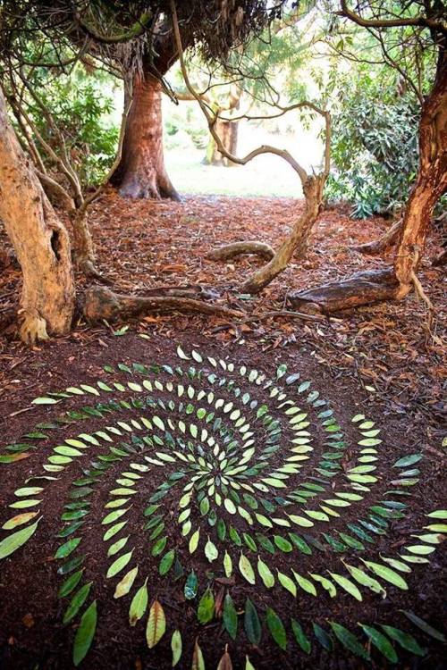 acoustonaut: voiceofnature: LandArt by James Brunt This is so beautiful. h/t @rebirthcanal