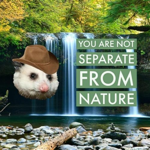 opossummypossum:you are not immune to yeehaw