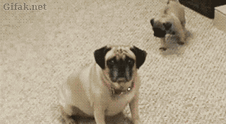 tastefullyoffensive:  “Stop it son, you did me a real big frighten!”   😊😊😊