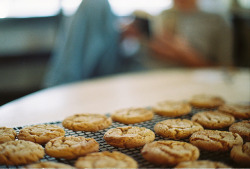 stashofcoffee:  dad’s ginger snaps by SeaSickPeaches on Flickr.   Переходи на сторону зла. У него есть печеньки.