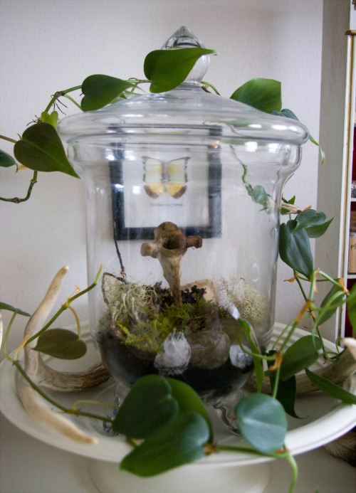 puddingtea:  Rearranged some things to try to channel Spring. 