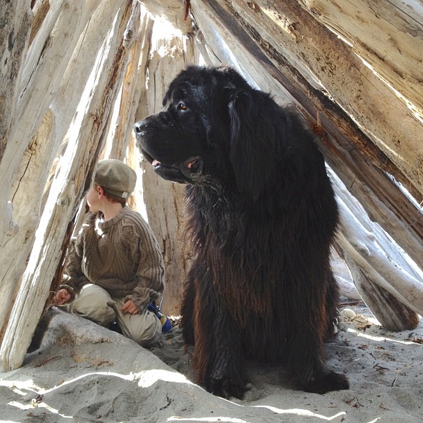 ryandonato:  Genuine Love Between a Little Boy and His Big Dog 