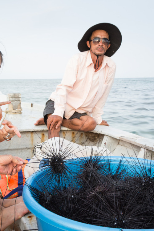 Spear Fishing off the Coast of VietnamLocation: Phu Quoc, VietnamThere are a few activities in this 