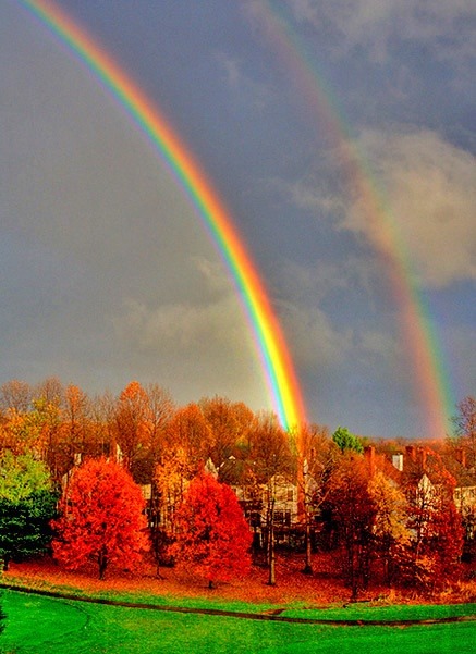 XXX Quick, make a wish (double rainbow over Richmond, photo