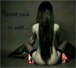 sir-erebus:  zevypoo2:  sensual-inked-soul:“Master said to wait” Patiently   .⚡️