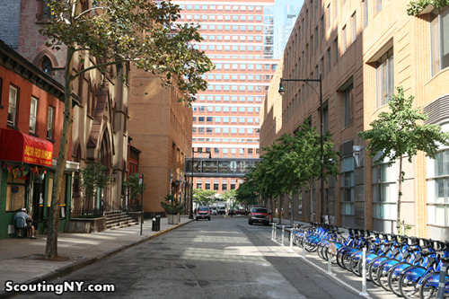 scoutingny:  A 19th century ghost town hidden in Brooklyn