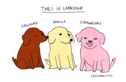 chuckdrawsthings:neapolitan pups