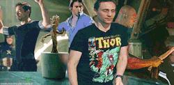 Firechildslytherin5:  Marvel | Random Gifs That Shows That Marvel Fans Does With