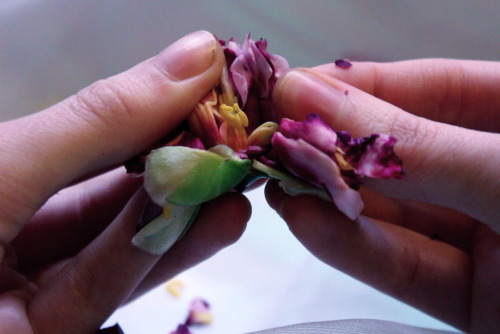 princex-misdreavus: For Every Flower Forced To Bloom, 2013  digital film stills i have never fe