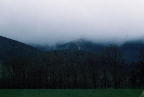 misty valley