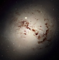 Comic dust in NGC 1316